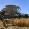 The resumption of trade is a welcome relief for Australian farmers as China bought half of the country's barley exports