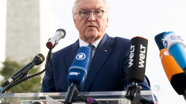 President Frank-Walter Steinmeier asked for 'forgiveness' over crimes committed during Germany's colonial rule in Tanzania
