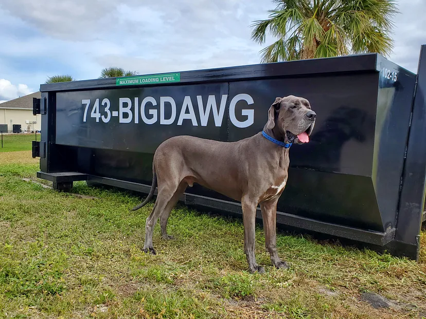 Big Dawg Dumpsters Mascot